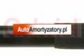 Amortyzator Renault Clio II 
